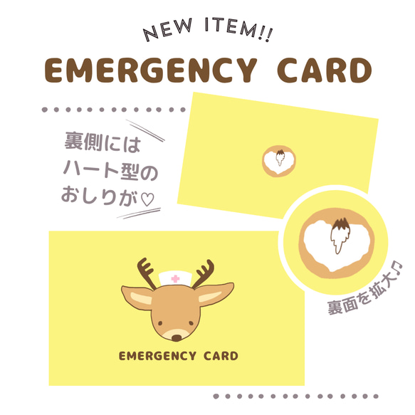 シカのEMERGENCY CARD 1枚（緊急連絡先）5.5cm×9cm 3枚目の画像