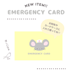 ネズミのEMERGENCY CARD 1枚（緊急連絡先）5.5cm×9cm 7枚目の画像