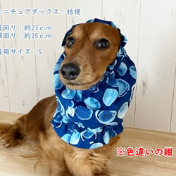 スヌード 水玉 【水色】 たれ耳わんこ  ドッグウェア 犬服 小型犬 水玉 シャボン玉 ドット 6枚目の画像