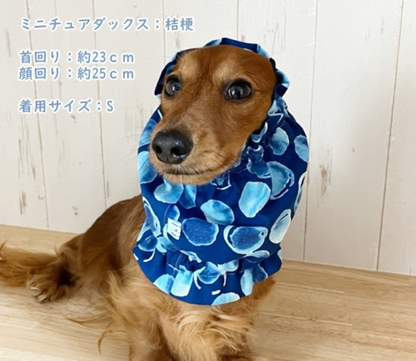 スヌード 水玉 【紺】 たれ耳わんこ  ドッグウェア 犬服 小型犬 水玉 シャボン玉 ドット 5枚目の画像