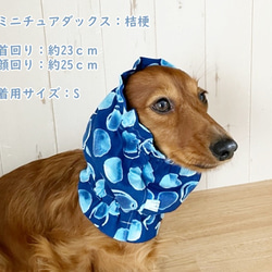 スヌード 水玉 【紺】 たれ耳わんこ  ドッグウェア 犬服 小型犬 水玉 シャボン玉 ドット 4枚目の画像