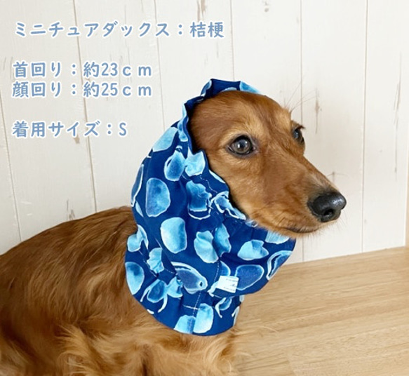 スヌード 水玉 【紺】 たれ耳わんこ  ドッグウェア 犬服 小型犬 水玉 シャボン玉 ドット 4枚目の画像