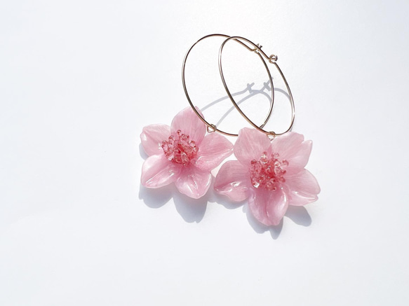 本物の桜 ソメイヨシノ 14kgfフープピアス /sakura pink 3枚目の画像