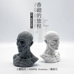 11³ HUMAN muscles Aroma stone I 人體筋肉擴香石 I 附5ml精油 I 可客製化－ 第8張的照片