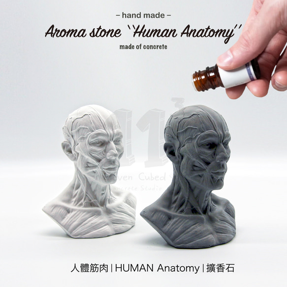 11³ HUMAN muscles Aroma stone I 人體筋肉擴香石 I 附5ml精油 I 可客製化－ 第2張的照片