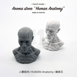 11³ HUMAN muscles Aroma stone I 人體筋肉擴香石 I 附5ml精油 I 可客製化－ 第6張的照片