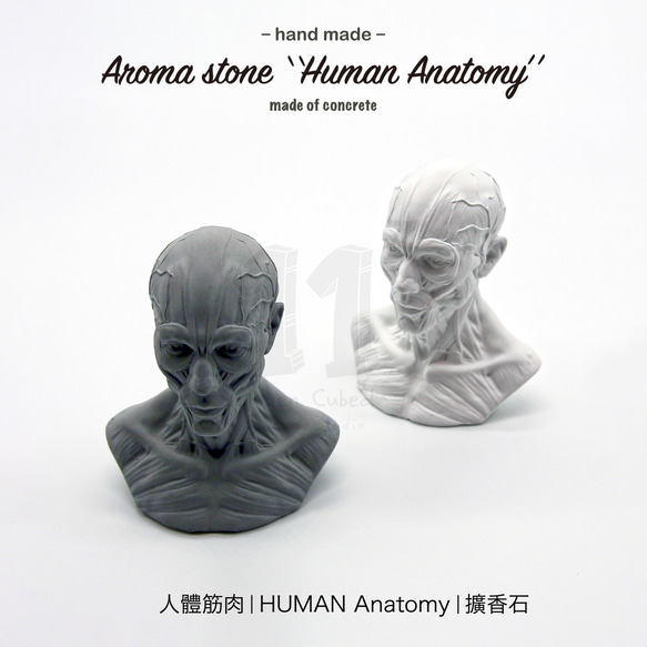 11³ HUMAN muscles Aroma stone I 人體筋肉擴香石 I 附5ml精油 I 可客製化－ 第6張的照片