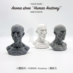 11³ HUMAN muscles Aroma stone I 人體筋肉擴香石 I 附5ml精油 I 可客製化－ 第5張的照片