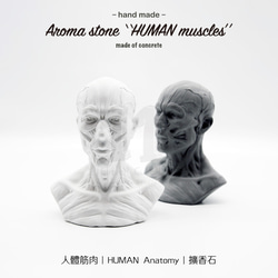 11³ HUMAN muscles Aroma stone I 人體筋肉擴香石 I 附5ml精油 I 可客製化－ 第3張的照片