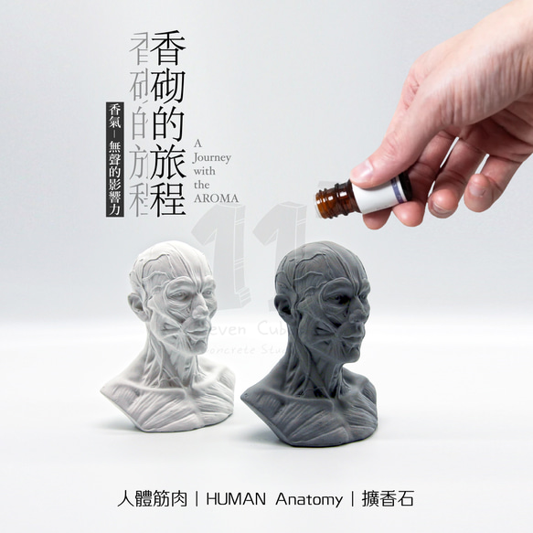 11³ HUMAN muscles Aroma stone I 人體筋肉擴香石 I 附5ml精油 I 可客製化－ 第7張的照片