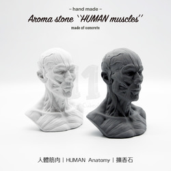 11³ HUMAN muscles Aroma stone I 人體筋肉擴香石 I 附5ml精油 I 可客製化－ 第4張的照片