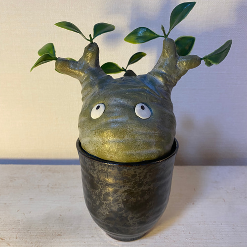 パキポン ① パキポディウム グラキリス コーデックス フィギュア 塊根