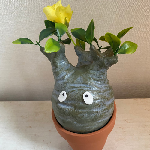 パキポン ②パキポディウム グラキリス コーデックス フィギュア 塊根