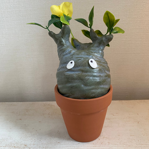 パキポン ②パキポディウム グラキリス コーデックス フィギュア 塊根