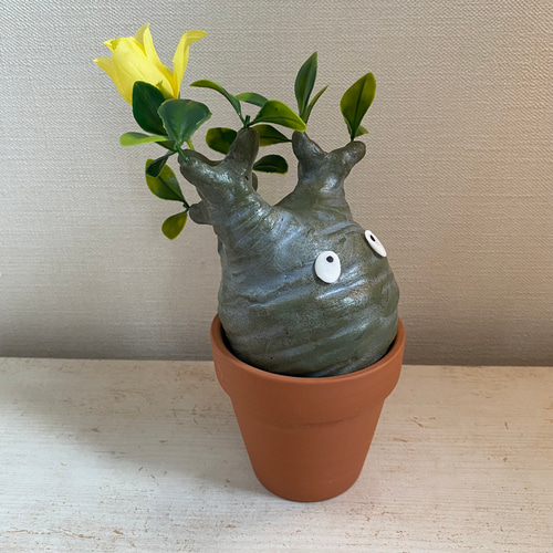 パキポン ②パキポディウム グラキリス コーデックス フィギュア 塊根