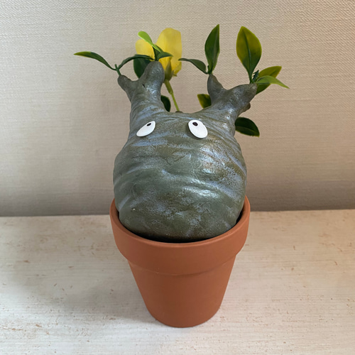 パキポン ②パキポディウム グラキリス コーデックス フィギュア 塊根