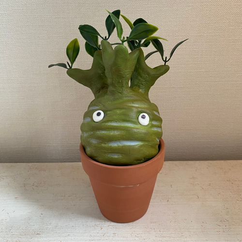 パキポン ③パキポディウム グラキリス コーデックス フィギュア 塊根