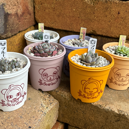 A-25プラ鉢リメイク｜べあぐらのハンコ【スマイル】2個セット 一輪挿し