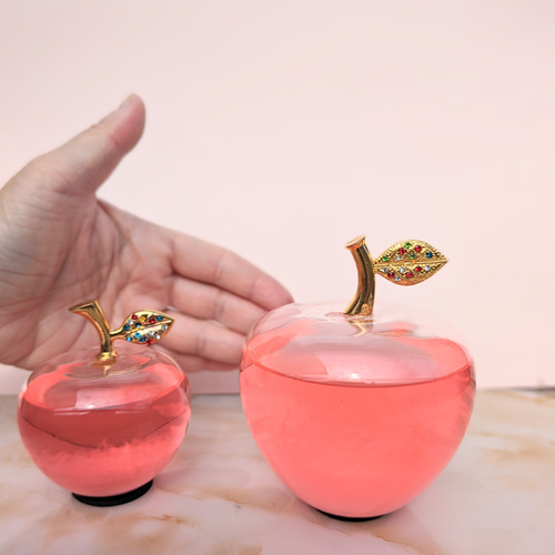 中の結晶の変化を楽しむ りんご型の ストームグラス （天気管） 母の日