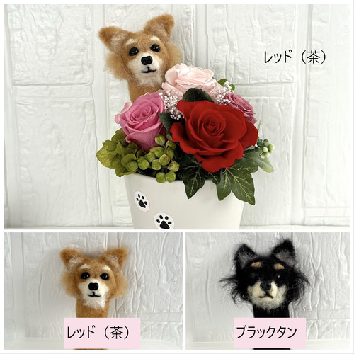 羊毛フェルト チワワ ピンク鼻 羊毛フェルト 犬 チワワ フラワーの通販