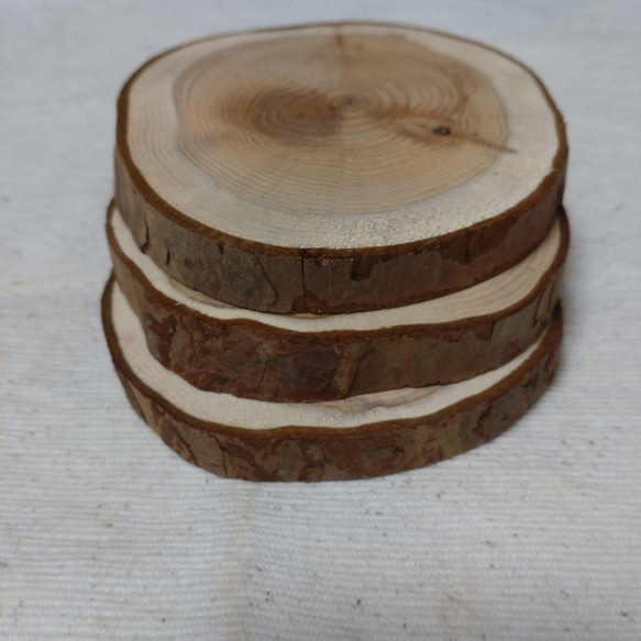 北海道産イチイの木 1枚目の画像
