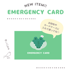 ワニのEMERGENCY CARD 1枚（緊急連絡先）5.5cm×9cm 7枚目の画像