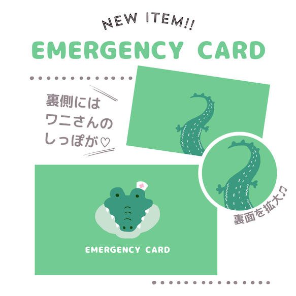 ワニのEMERGENCY CARD 1枚（緊急連絡先）5.5cm×9cm 3枚目の画像