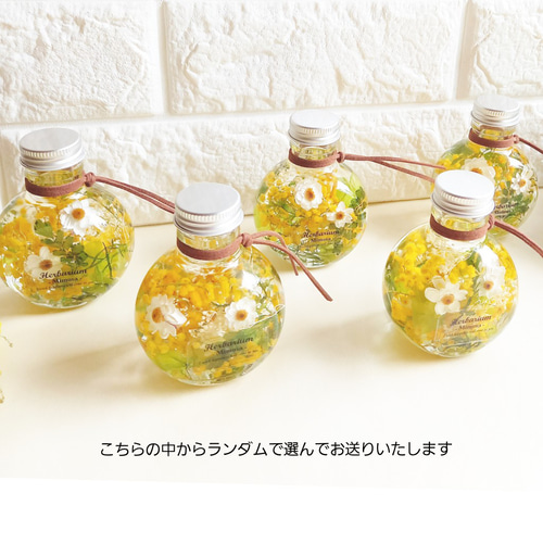 ☆送料無料☆新作ハーバリウム『 ミモザ ＆ 桜） 』ミニボトル2