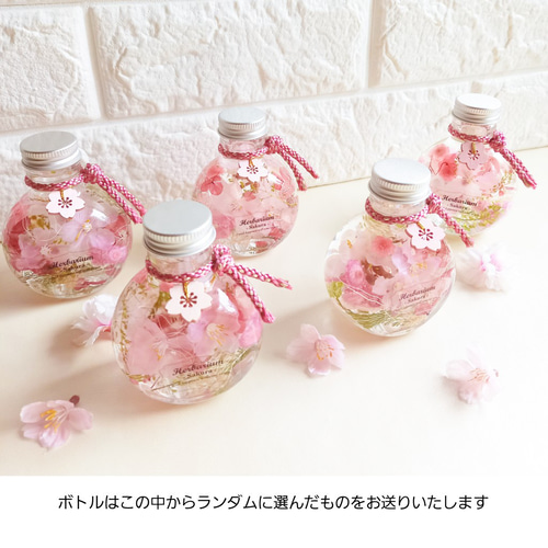よーよページとなります♪*¨♬… ハーバリウムボトルフラワー ☆送料無料☆新作ハーバリウム『 ミモザ ＆ 桜） 』ミニボトル2