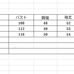 ゆったりしたレディースコートアウタートップス 6枚目の画像