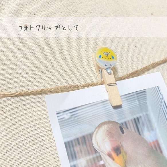 ボタンインコ ￤まんまる小鳥のウッドピンチ 8枚目の画像