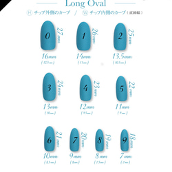 計測用ネイルチップ 3枚目の画像