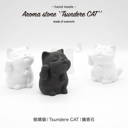 11³ Tsundere CAT Aroma stone I 傲嬌貓擴香石 I 附5mi精油 I 禮物 I 可客製化－ 第14張的照片