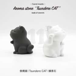 11³ Tsundere CAT Aroma stone I 傲嬌貓擴香石 I 附5mi精油 I 禮物 I 可客製化－ 第11張的照片