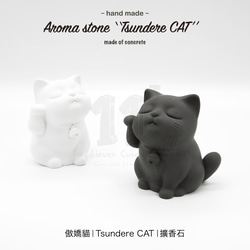 11³ Tsundere CAT Aroma stone I 傲嬌貓擴香石 I 附5mi精油 I 禮物 I 可客製化－ 第13張的照片