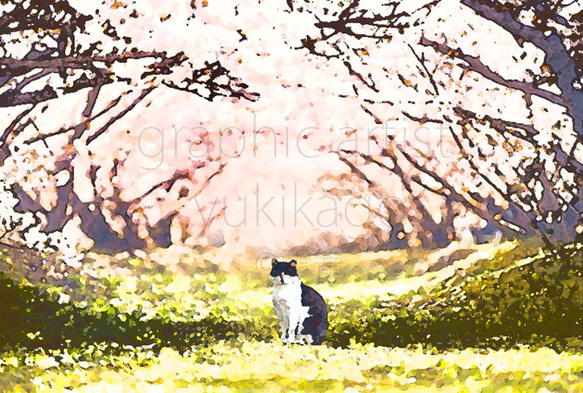「櫻」猫の居る風景 1枚目の画像