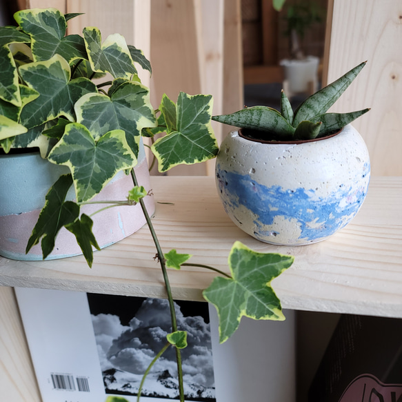 マルpot セメント鉢 //cement pot 植木鉢 2号サイズ 一輪挿し・花瓶 