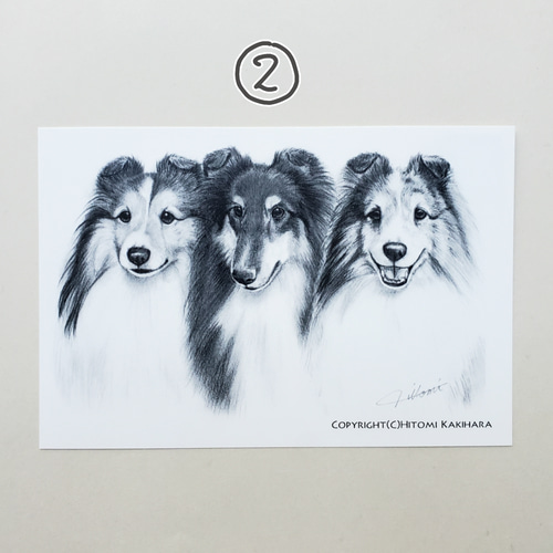 かきはらひとみ 手書き ポストカード ポストカード Up Tail 通販