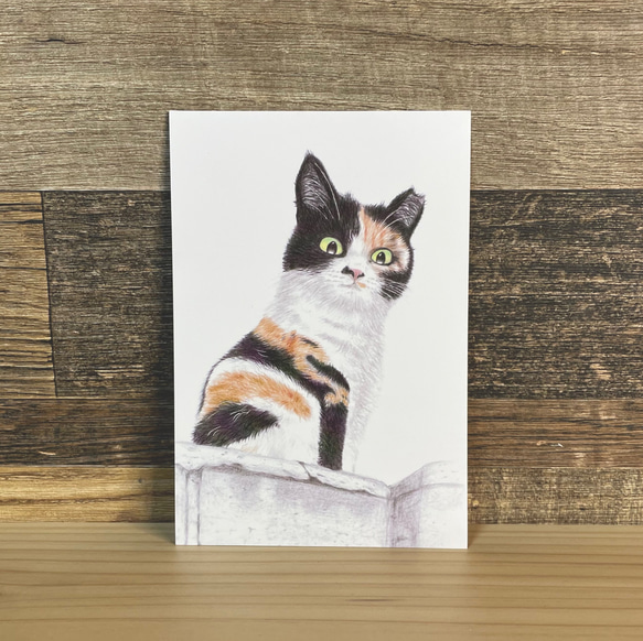 ねこのポストカード みけねこ 絵画 Gorasu 通販 17472496