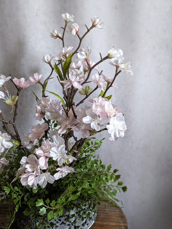 お家で愛でる桜のアレンジメント　たおやかな桜にアンティークグレイの器を添えて 2枚目の画像