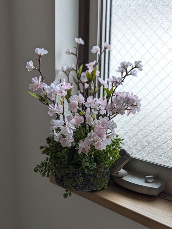 お家で愛でる桜のアレンジメント　たおやかな桜にアンティークグレイの器を添えて 4枚目の画像