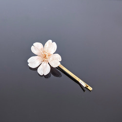 【発送可／実物撮影／完成品】Everpink. 本物の桜　こだわりの厳選花で仕上げたヘアピン　髪飾り　ヘッドドレス 2枚目の画像