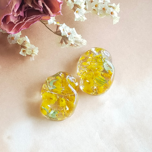 ミモザピアス♡ドライフラワー♡レジンアクセサリー ミモザピアス♡ドライフラワー♡レジンアクセサリー ◯ web shop