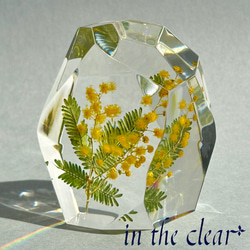 植物標本　ミモザ　黄色　レジン　鉱石型 4枚目の画像