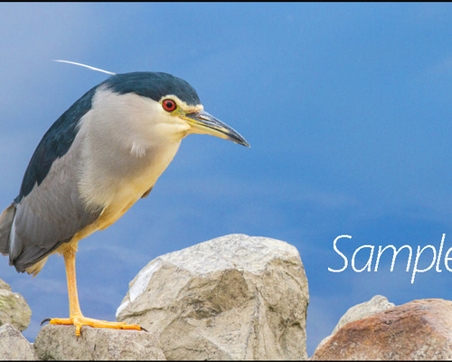 cce6160f70cad9a6391c25b60aced9