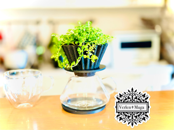 ドリッパー植木鉢 3 color Coffee Dripper flower pot (3 Styles