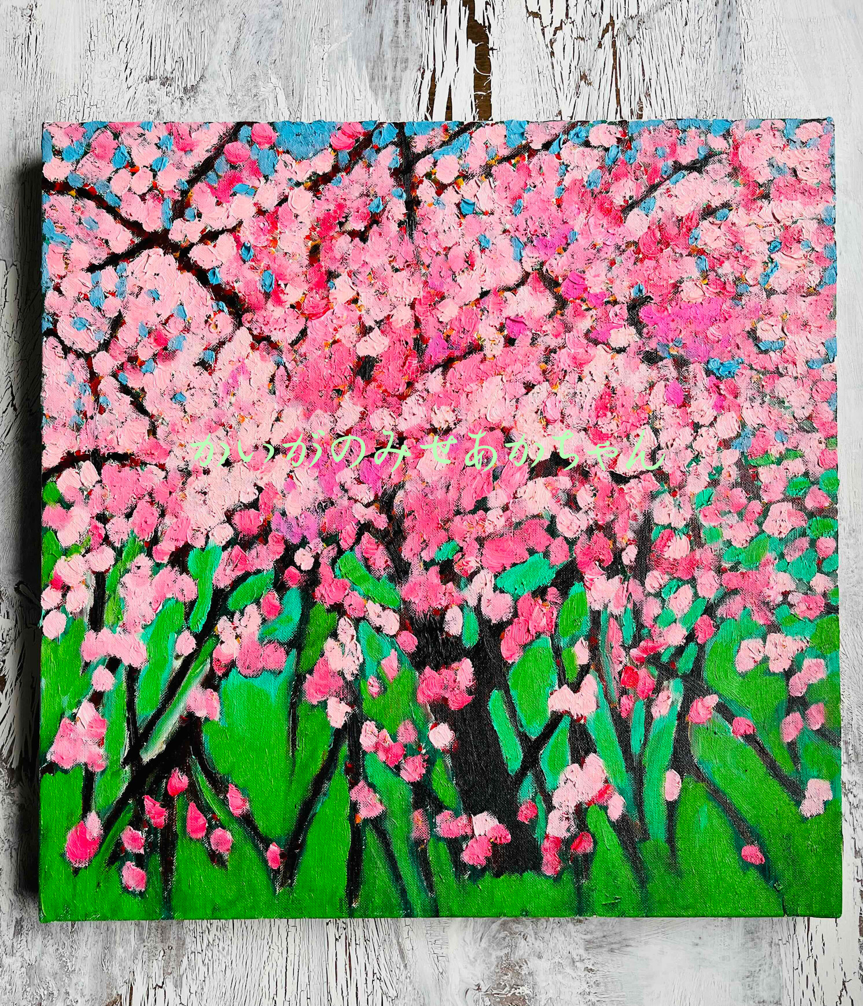 46㎝角「櫻2024」油彩・原画・S8 46㎝角「櫻2024」油彩・原画・S8