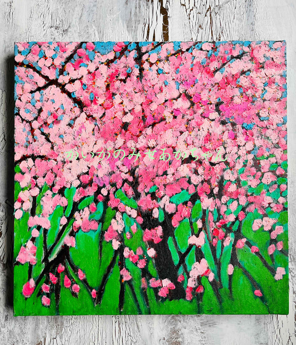 46㎝角「櫻2024」S8・油彩・原画 46㎝角「櫻2024」油彩・原画・S8