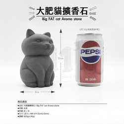 11³ Big FAT cat アロマストーン I Big FAT cat アロマストーン I エッセンシャルオイル 10ml 9枚目の画像