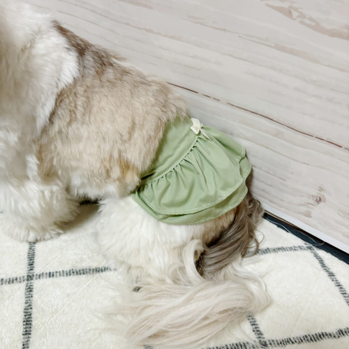 犬服 ギャザースカート グリーンティー ペット服 わんこ服 ペット